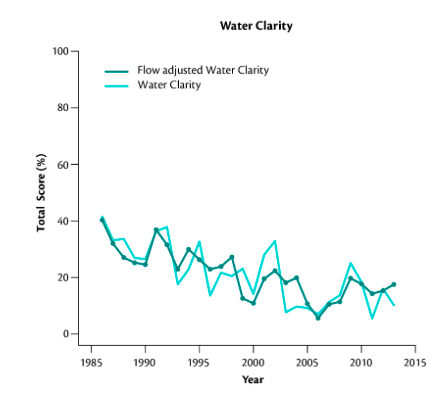 water clarity