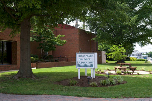 The Chesapeake Biological Laboratory.