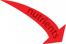 normal_ian-symbol-inputs-nutrients-2