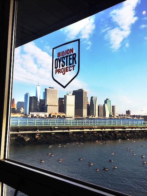 Billion Oyster Project logo with Manhattan skyline in the background.