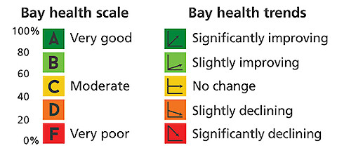 Color schemes can be used to indicate health scale and trends for a particular indicator.