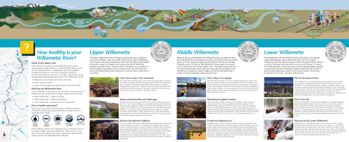 Elements of content for the Willamette River Report Card