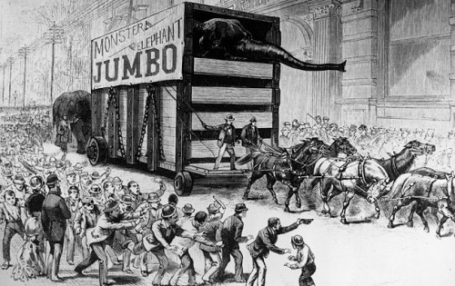 howman P(hineas) T(aylor) Barnum, circa 1870, hauling Jumbo, the largest elephant in captivity, down the streets of New York, in a trailer pulled by a team of horses (Photo: Three Lions/Getty Images)