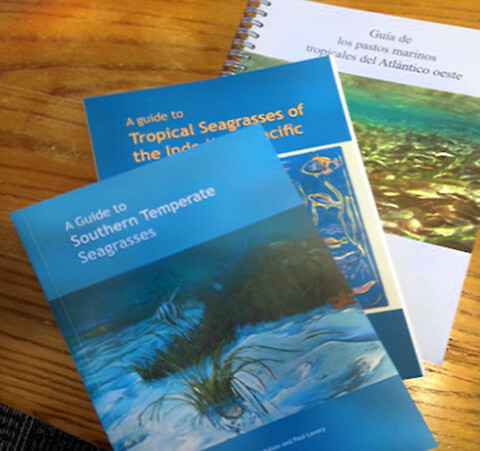 The three regional seagrass books that have been published since the seminal book 