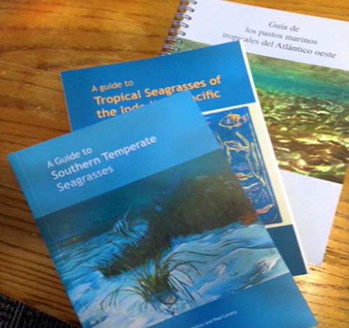 The three regional seagrass books that have been published since the seminal book "Seagrass of the World"