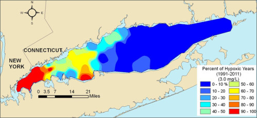 Frequency of hypoxia in the Long Island Sound. Figure from Long Island Sound Study