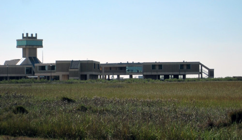 The W. J. DeFelice Marine Center makes a striking appearance on the horizon, seen from Little Caillou road.