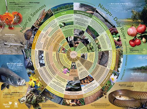The Nauiyu People described their seasons to the Tropical Rivers and Coastal Knowledge (TRaCK) Programme and CSIRO using this calendar.