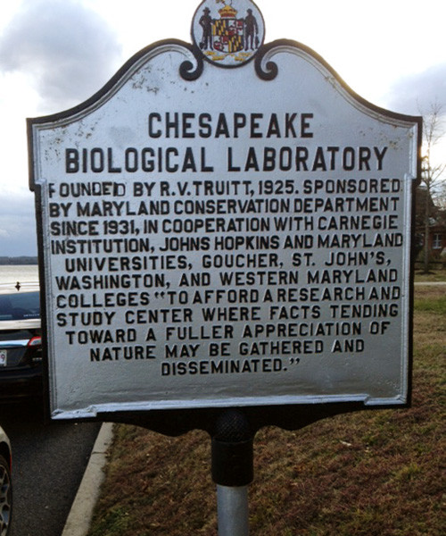 Historical sign at Chesapeake Biological Laboratory on Solomons Island.