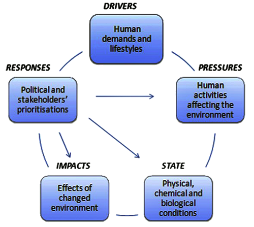 Fig. 2. The drivers-pressures-state-impacts-responses (DPSIR) framework scheme.