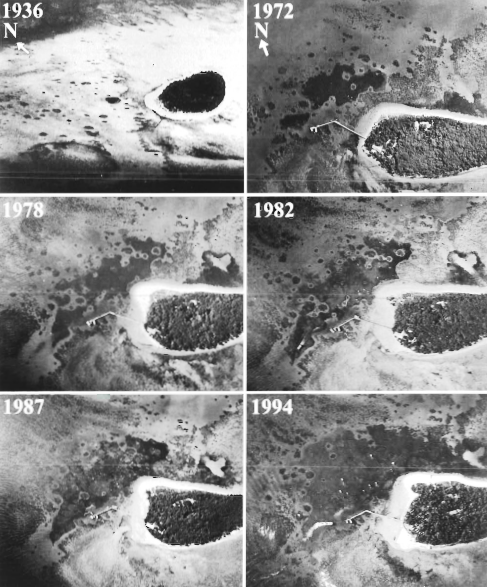 Series of aerial photos showing the expansion of the seagrass meadow in the sub tidal lagoon on the NE side of Green Island from 1936 until 1994. Figure from Udy et al 1999 [pdf].