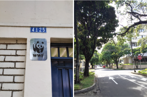 The leafy green streets of Cali Colombia and the entrance to the WWF office in Cali.