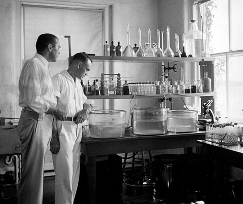 Reginald Truitt observing laboratory experiments at CBL