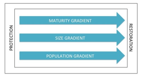 Figure 2. The maturity gradient is co-correlated with the size and population gradients. Less mature systems tend to be smaller and less densely populated.