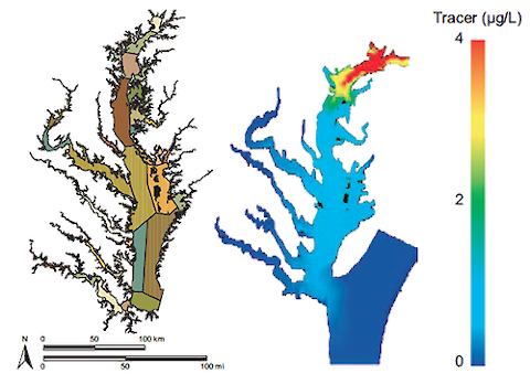 The 78 Chesapeake Bay segments used in the Estuarine Hydrodynamic and Water Quality Models (left) and tracer simulation model showing Susquehanna river plume (right). Diagram from Chesapeake Bay Environmental Models, CBP and IAN [[pdf]]