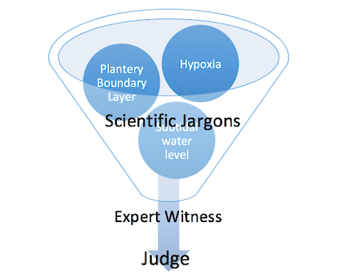 Fig.1 Expert witness are needed to translate scientific jargons into understandable concepts for the judge. Figure by Fan Zhang.