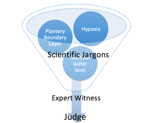Fig.1 Expert witness are needed to translate scientific jargons into understandable concepts for the judge