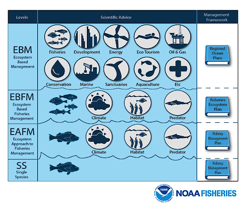 Figure 1: As depicted by NOAA, there are many scales at which a management plan can attempt to regulate a fishery and many factors to consider. Management is made even more challenging due to the unpredictable and dynamic nature of fisheries as complex systems. Image from NOAA