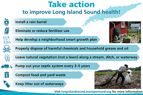 There are many ways in which people can help protect and preserve the Long Island Sound and its waterways and harbors. Image: Suzi Spitzer, IAN-UMCES.