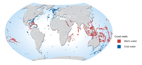 Current coral reef distribution. Credit: Nature.com