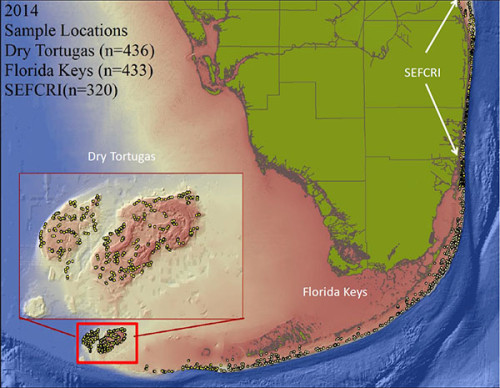 Sampling locations for biological monitoring of the Florida Coral Reef Tract.