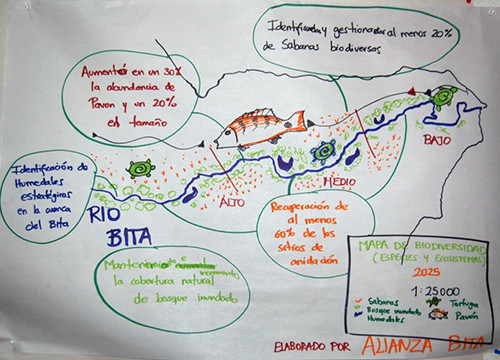 What participants hope to see in the Bita River in 2025.