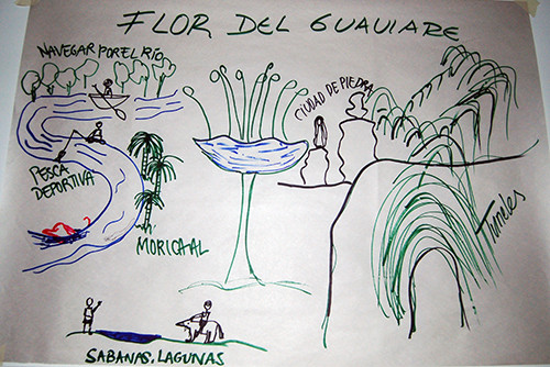 The flower of Guaviare diagram.