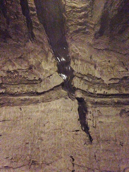 An ice wedge that is exposed in the tunnel. Ice wedges form when the ground contracts and cracks in teh winter due to cold air and ground temperatures. The following spring and summer, these millimeter wide cracks fill with melt water that has mixed with soil and air and freezes in the permafrost. This process repeats annually for centuries or milleniums, which results in vertical ice layers. Photo: Brianne Walsh, UMCES.