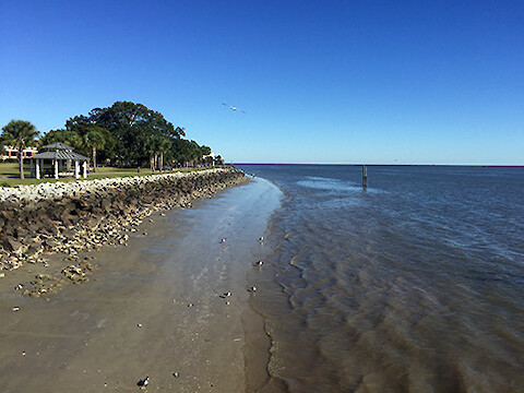 Coastal Georgia has a huge tidal range, as seen in this photo from St. Simonâs Island. This was one of the many things discussed in production of the report card.