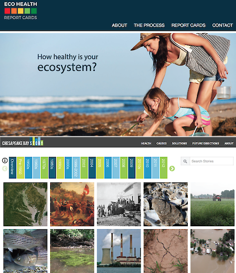 IAN released two new websites for 2015 - the EcoHealth Report Cards and Chesapeake Bay Story