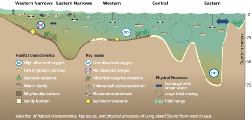 Conceptual diagram for the Long Island Sound