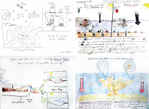 Example hand-drawn conceptual diagrams by students. Credit: Juliet Nagel, Christina Goethel, Dylan Taillie, and Ben Wahle