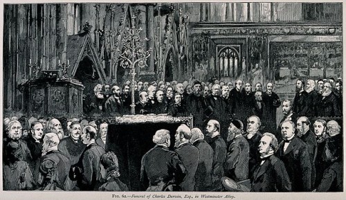 Funeral ceremony of Charles Darwin in Westminster Abbey
