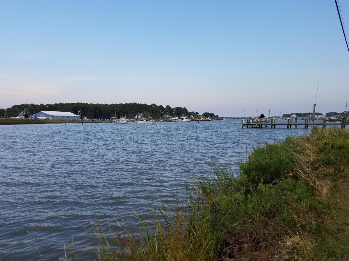 Chesapeake Bay Report Card education Enewsletter Integration and