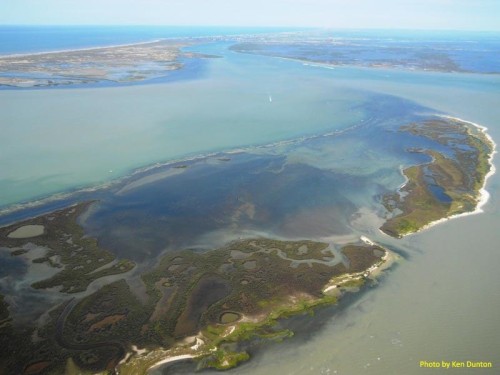 Aerial photograph of seagrass meadows in East Flats, Texas. Photo by Ken Dunton in texasseagrass.org