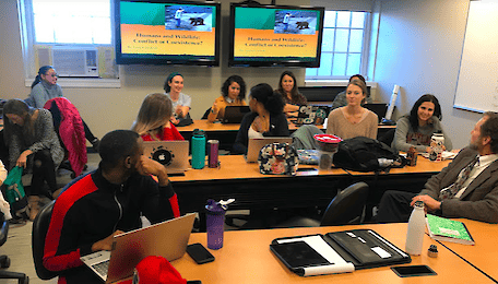 MEES Graduate Program