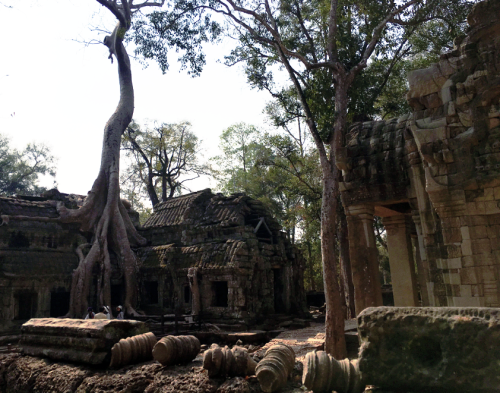Ta Prohm, which has recently gained international notoriety for being the filming location of the most recent Tomb Raider movie. Briane Walsh
