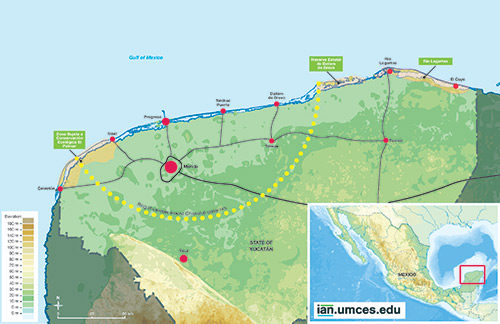 The Chicxulub Crater rim traverses Yucatán and is 'outlined' by a series of cenotes, shown here as the yellow dotted line.