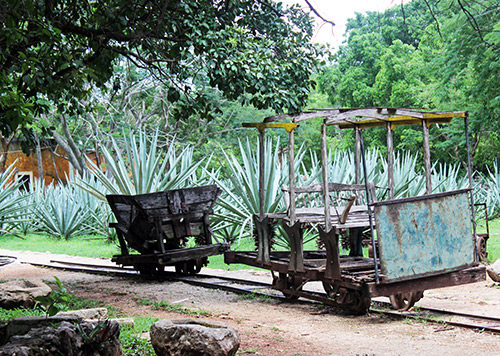 In the early 20th century, the cactus grown for sisal fiber on the Yucatán haciendas was transported by these rail cars. 