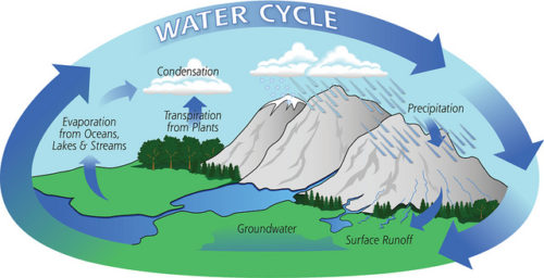 A Conceptual Diagram illustrating the water cycle. | Credit: Water Cycle by Atmospheric Infrared Sounder