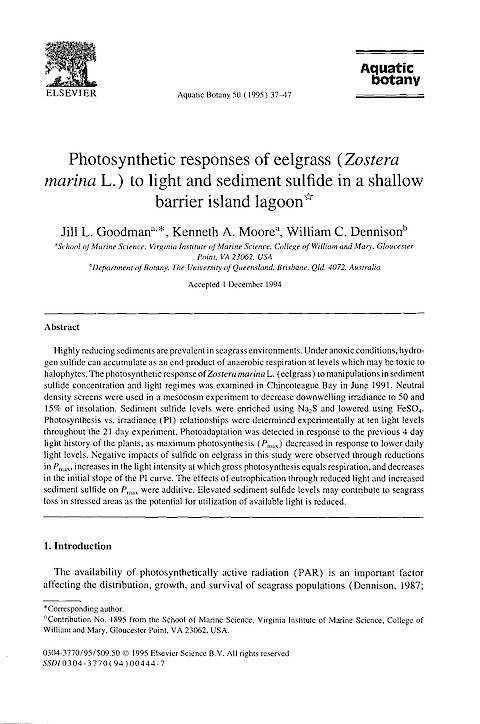 Photosynthetic Responses of Eelgrass (Zostera marina L) to Light and Sediment Sulfide in a Shallow Barrier-Island Lagoon (Page 1)
