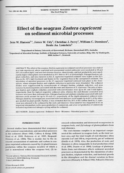 Effect of the seagrass Zostera capricorni on sediment microbial processes (Page 1)