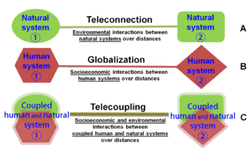 Telecoupled systems are made up of flows of materials, energy, and information between coupled human and natural systems. Examples of telecoupled systems include the spread of invasive species or global food export, both which integrate intertwined socioeconomical and environmental factors over distances3. (Source: Liu et al. 2013)
