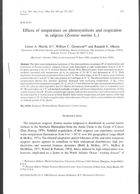 Effects of Temperature on Photosynthesis and Respiration in Eelgrass (Zostera marina L) (Page 1)
