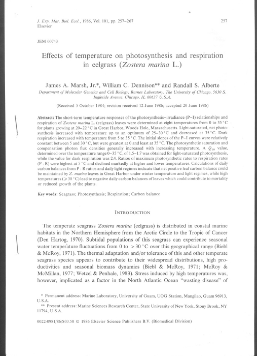 Effects Of Temperature On Photosynthesis And Respiration In Eelgrass Zostera Marina L Publications Integration And Application Network