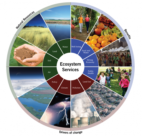 diagram-of-ecosystem-services-and-benefits-1-500x478.png