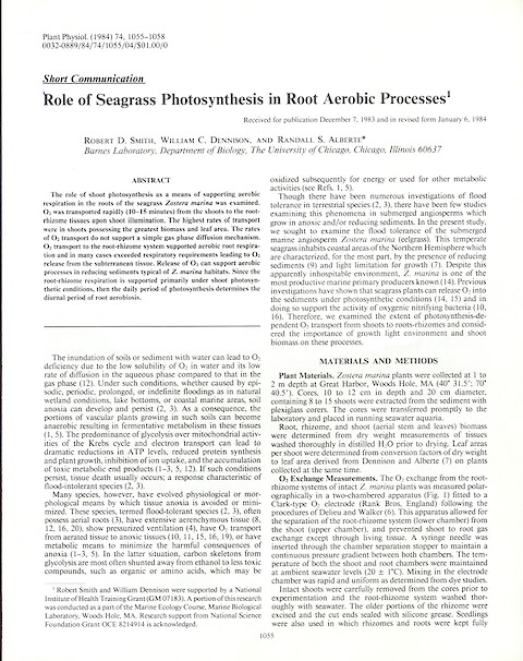 Role of Seagrass Photosynthesis in Root Aerobic Processes (Page 1)