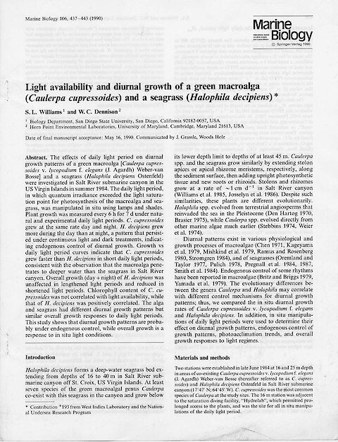 Light Availability and Diurnal Growth of a Green Macroalga (Caulerpa-Cupressoides) and a Seagrass (Halophila-Decipiens) (Page 1)