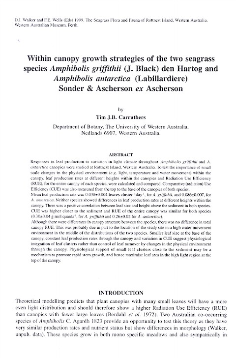 Within canopy growth strategies of the two seagrass species Amphibolis griffithii (J. Black) den Hartog and Amphibolis antarctica (Labillardiere) Sonder & Ascherson ex Ascherson (Page 1)