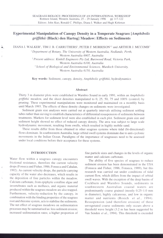 Experimental manipulation of canopy density in a temperate seagrass